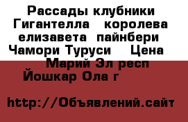 Рассады клубники Гигантелла,  королева елизавета, пайнбери. Чамори-Туруси. › Цена ­ 50 - Марий Эл респ., Йошкар-Ола г.  »    